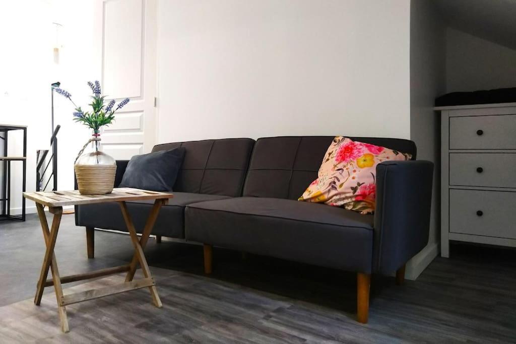 Le Cours Foucault - 3 Appartements - 8 Couchages モントーバン エクステリア 写真