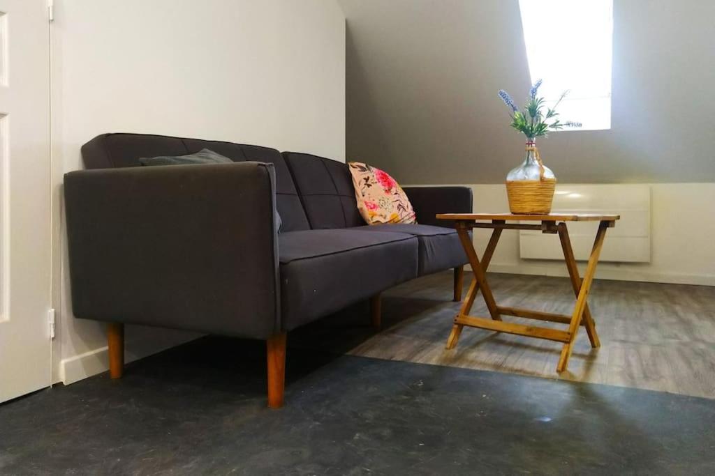 Le Cours Foucault - 3 Appartements - 8 Couchages モントーバン エクステリア 写真